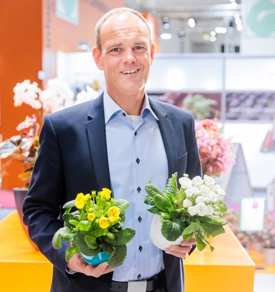 In the spring-flowering category, a whole series made the running in 2023. The Primula polyantha hybrid POLLYANNA with the varieties "Flame", "Frosty White" and "Sunny Yellow" from Kientzler Jungpflanzen in Gensingen. The series stands out as the first double flowering stem primroses from meristem culture. This means that they are true to variety and also really always double. Full and numerous flower stems guarantee a long flowering period. The flowering period starts as early as mid-February and lasts until May. Their habit looks like a bouquet and should be just the right choice for the premium segment and as a gift.