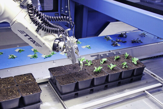 The process can be fully automated with the TTA Cutting Edge system.