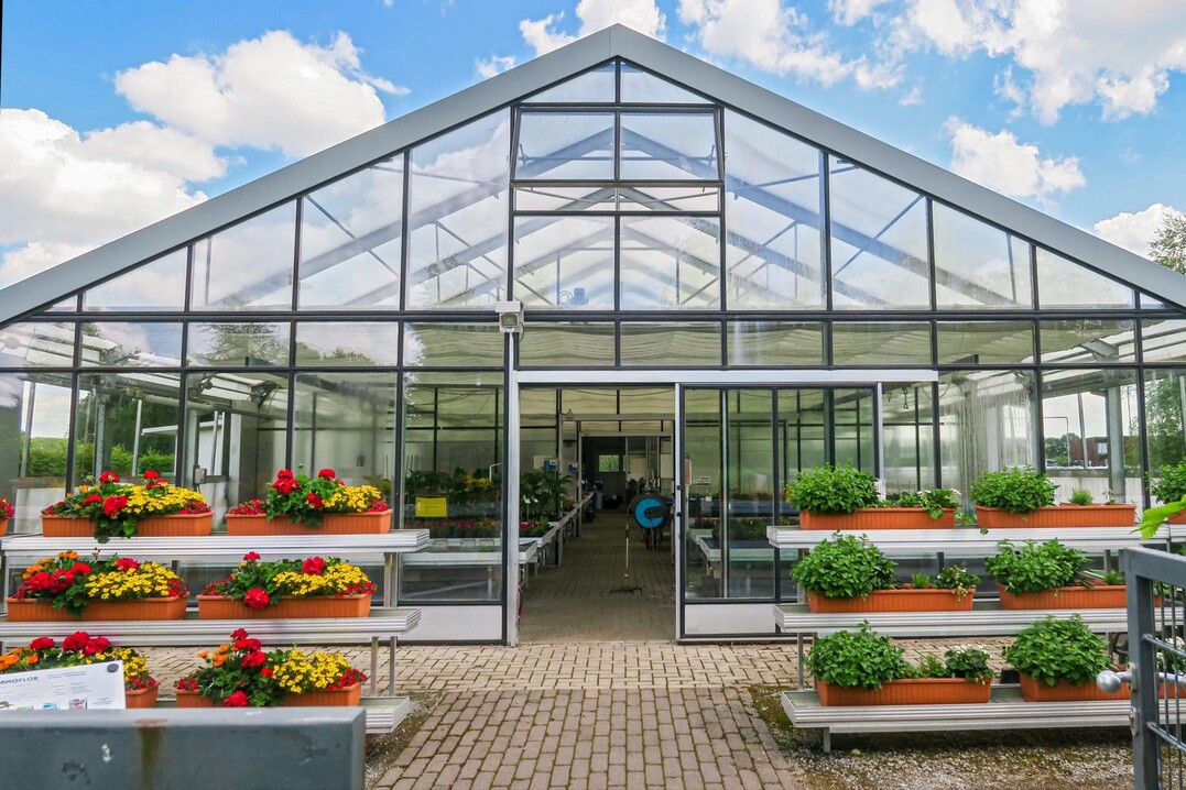Culture trials round off the quality management. A greenhouse is available for this purpose on the premises in Vechta.