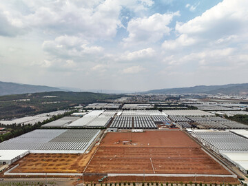 The expansion includes 2 hectares of greenhouse and a large service area.