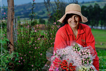 IPD invites buyers to Colombia from 28 September to 4 October 2025.