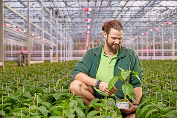 We are now able to select the right spectrum for each plant species, growth phase, or product segment and achieve the desired shape and plant activity, says Marvin Verkuijlen, the crop researcher at Brabant Plant. 