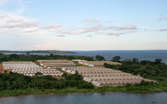 An aerial view of the Wagagai plant in Uganda.