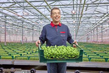 Otto van Tuijl from Deliflor Hoogveld explains how the transition to full LED with Philips GreenPower toplighting compact and the Philips GrowWise control system has significantly improved their chrysanthemum cutting production process. 