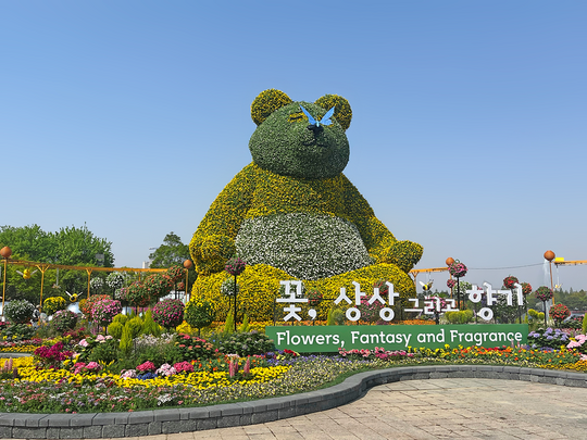 Welcome to the International Horticulture Goyang Korea 2025.