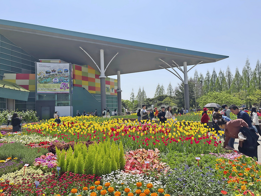 Colourful bedding displays.