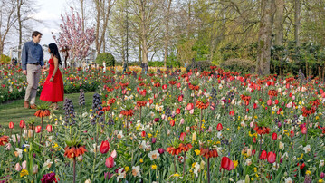 Titled A Mysterious Dutch Still Life, this years theatrical border was created by garden and landscape designer Carien van Boxtel. 