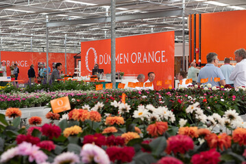With the decline in the number of Flower Trials locations in Germany in recent years, Dmmen Orange has opted to focus on its De Kwakel site. 
