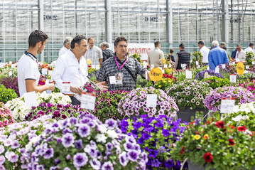  A full overview of this years exhibitors and their assortments together with a registration link can be found on flowertrials.com.