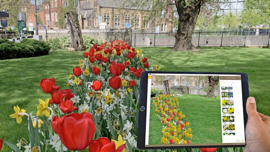 Flower Designer App Visualisation.