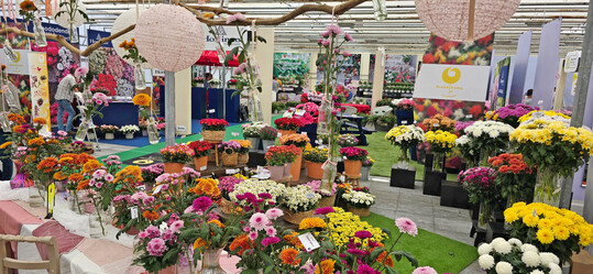 Almost all of the exhibitors from Germany have now found their way to the Netherlands in order to offer visitors the shortest possible distances.