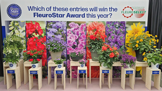 The promising candidates for the FleuroStar Award could be found at several locations.