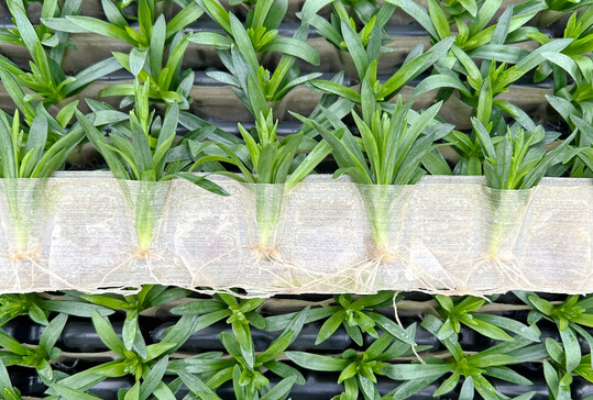 The carbon footprint of cutting production is significantly reduced through reduced material consumption.