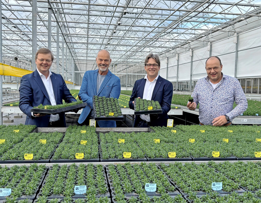 The Dutch company Schneider Youngplants from Woudrichem is making a fresh start following a successful takeover. From left: Jacob Schneider, Jan den Hartog, Bernd Postma, and Jan Arends.