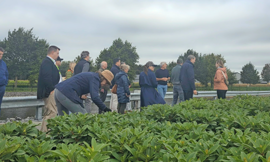 Delegates visiting Dirk Mermans’ nursery