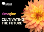 Danziger invites to schedule in virtual meetings to discover Danziger’s 2025 assortment