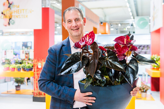 In the category "Flowering Houseplant", the award "IPM Novelty 2023" goes to Anthurium andreanum ANTHFYSAN "Delicata" by Anthura from the Netherlands. The almost black-green foliage in combination with the warm red of the flowers makes this anthurium something very special. A noble product that will help to raise its profile in the specialised trade. Graceful, refined and easy to care for. What more could you want?