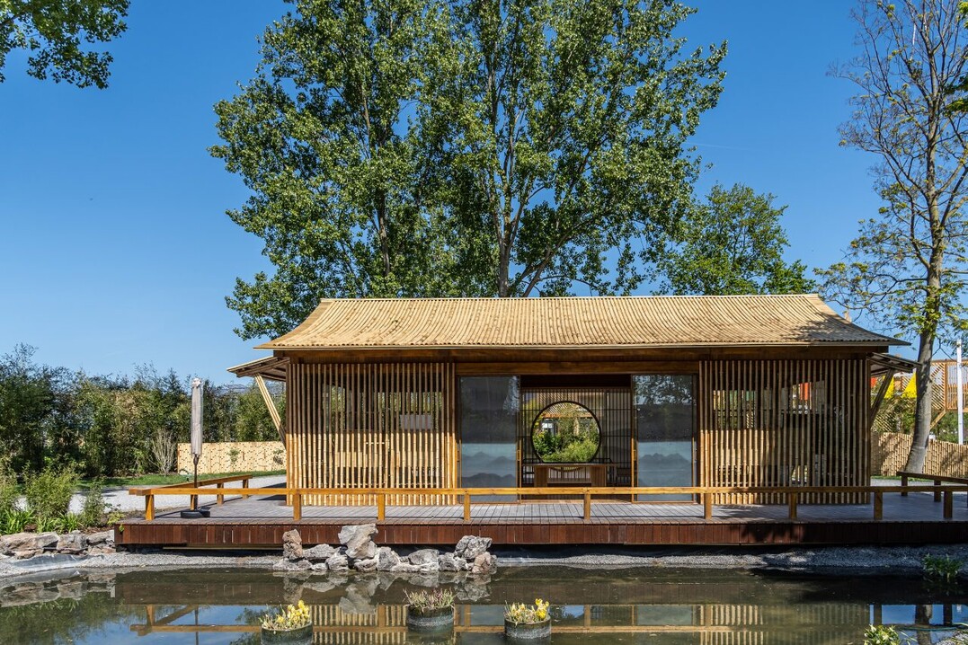 Garden Experience Award - China  A Growing Chinese Bamboo Garden