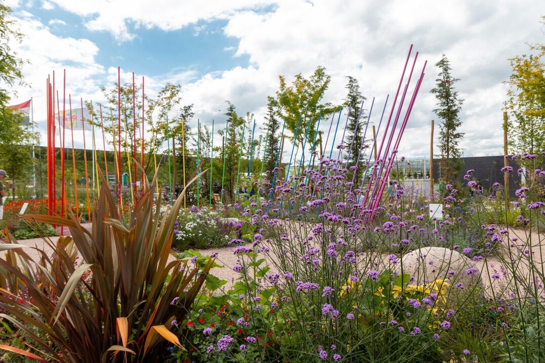 Gold Award Landscape - Lips Groen Hoveniers - FeelGood Garden