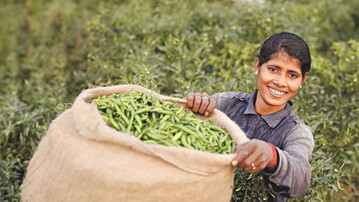 The Farmer Voice survey reveals the challenges facing farmers around the world as they try to mitigate the impacts of climate change and adapt for the future.