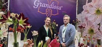 Nathalie Wanst and Joris Van de Velden present the new brand Grandiosa at stand 1B31 � featuring amaryllis grown outdoors.