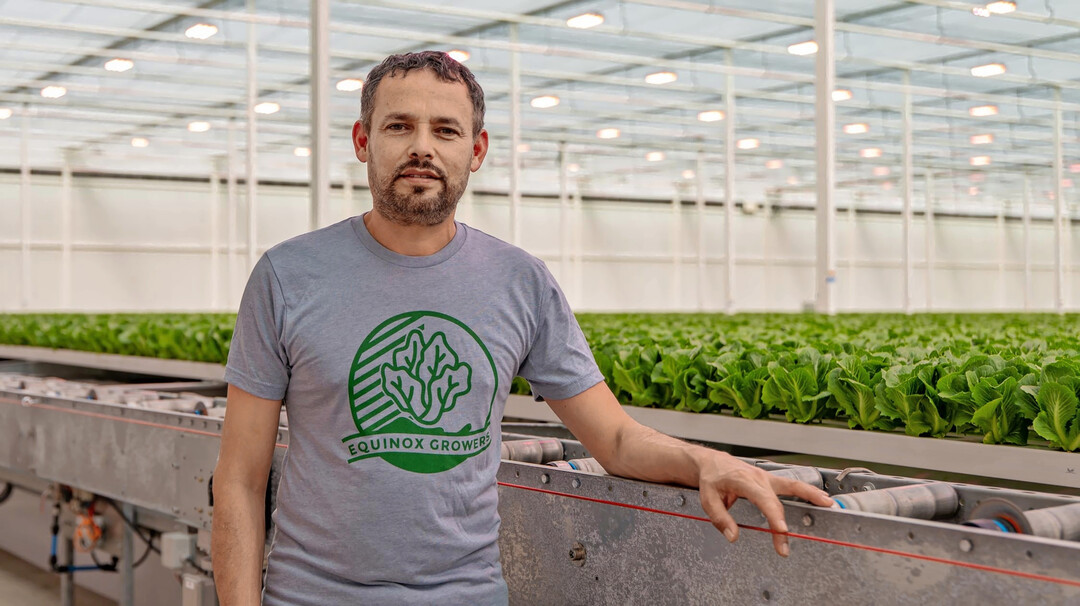 “Equinox Growers is a great example of how innovative lighting solutions can transform the horticulture industry,” said Michael Hanan.