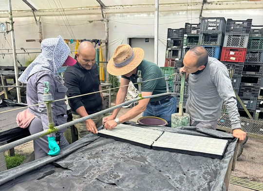 RCS 2.0 Implementation at Colibri Flowers.