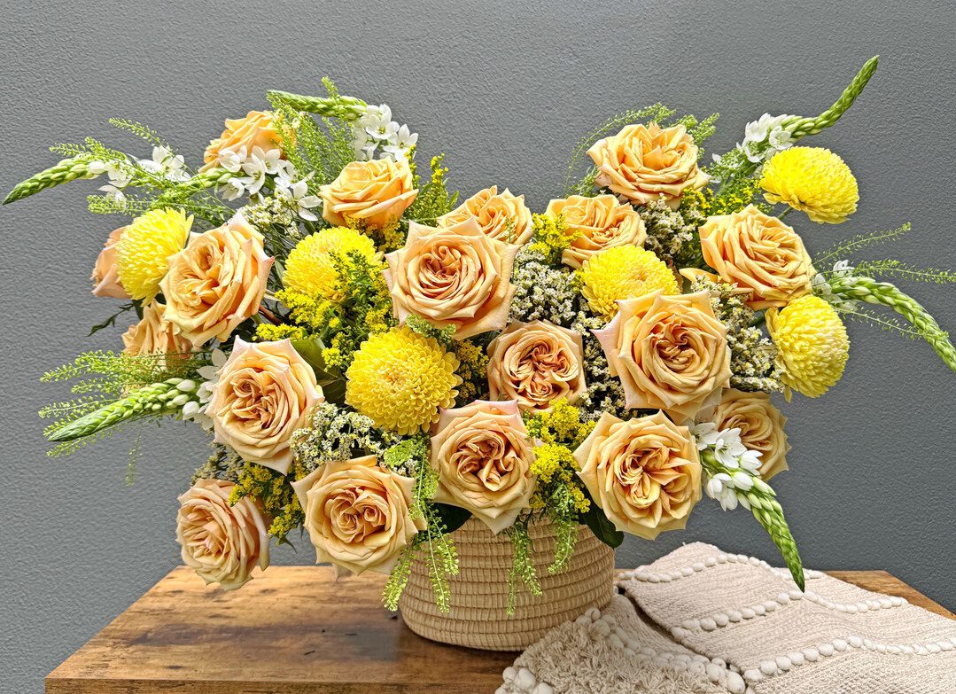 ‘Caramel Dream’ adds warm brown-sand hues and a garden-style opening, targeting premium and event-driven segments.