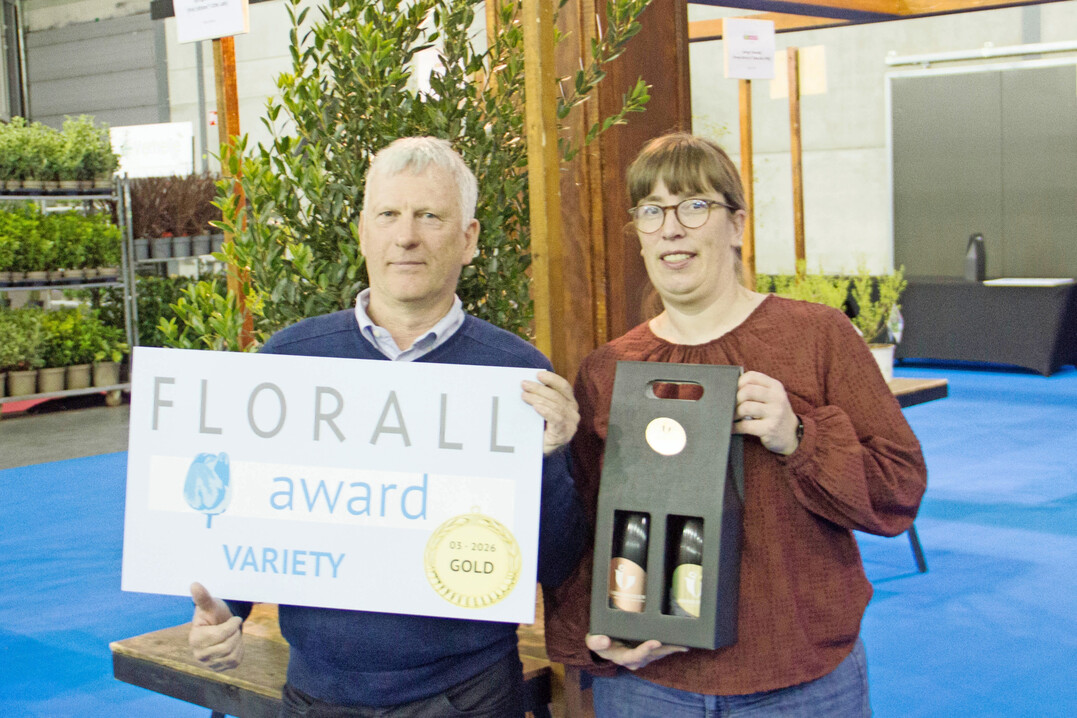 Gold: Phillyrea angustifolia �Grand Prix� � Boomkwekerij Huijbregts bv (entry via GrootGroenPlus).