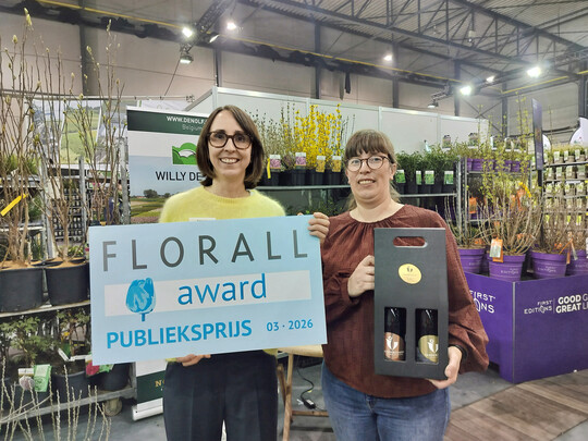 The public award went to Viburnum plicatum �PIIVIB II� (First Editions Opening Day), a compact ornamental shrub with striking spring blooms and decorative autumn coloration. 