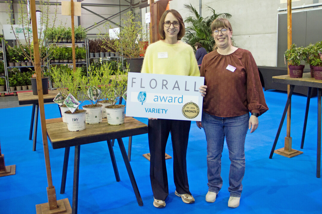 Bronze: Syringa �Smnsdtp� (Proven Winners Baby Kim) � Willy De Nolf