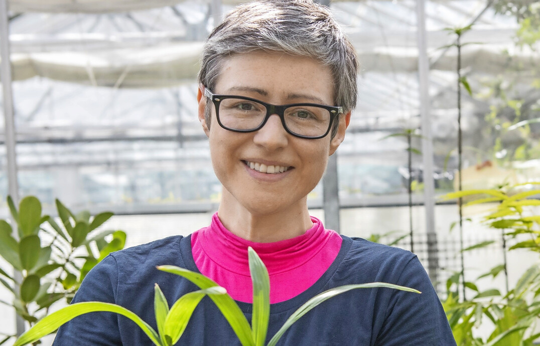 According to Sadie Barber, Deputy Curator of Glasshouses and Indoor Living Collections, the Air-Pot system enabled the team to maintain plant health over several years.
