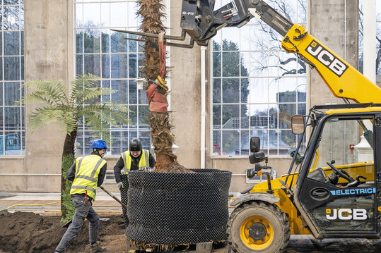 The containers are widely used in nurseries, botanical gardens, and research institutions.