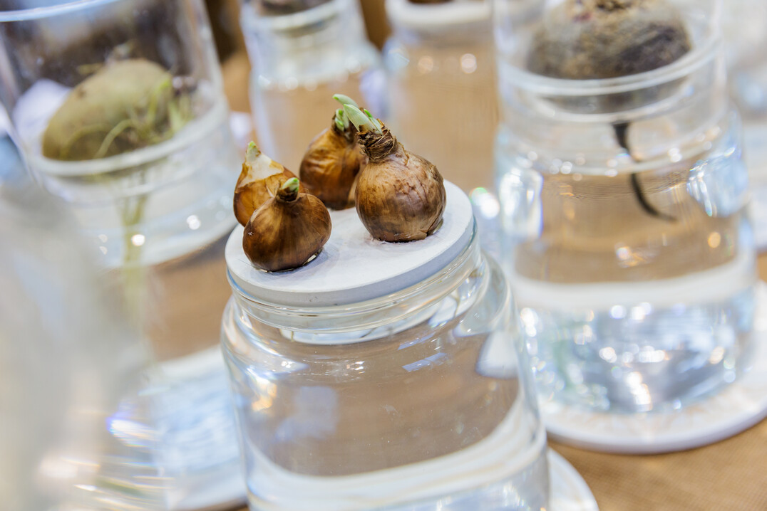 The joy that IPM ESSEN could finally take place again could be felt in every hall and at every stand.