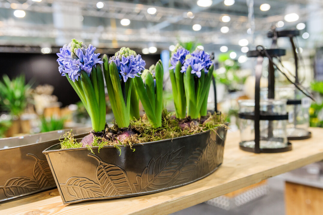 The joy that IPM ESSEN could finally take place again could be felt in every hall and at every stand.