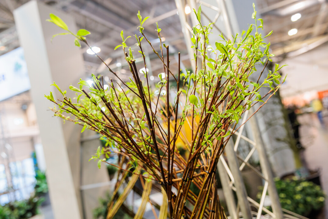 The joy that IPM ESSEN could finally take place again could be felt in every hall and at every stand.