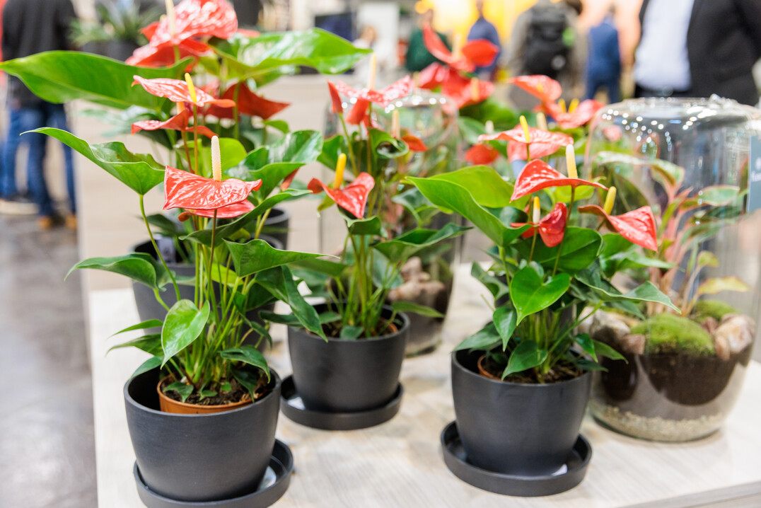 The joy that IPM ESSEN could finally take place again could be felt in every hall and at every stand.
