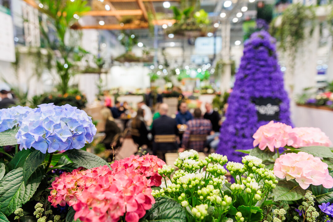 The joy that IPM ESSEN could finally take place again could be felt in every hall and at every stand.