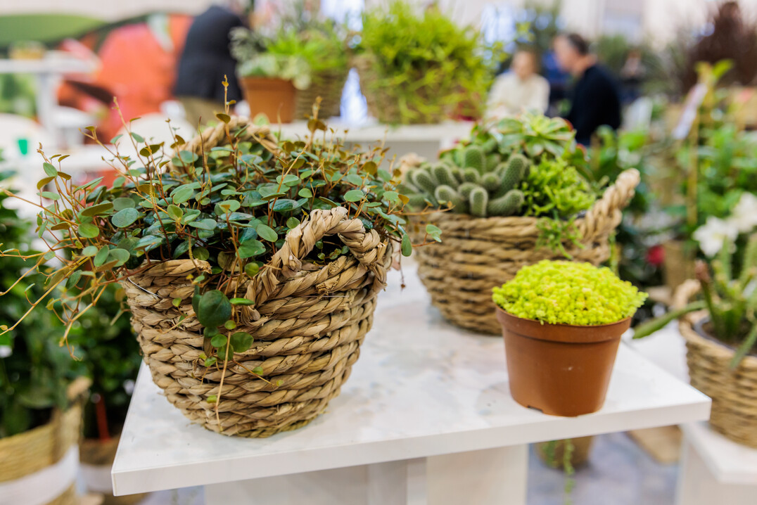 The joy that IPM ESSEN could finally take place again could be felt in every hall and at every stand.