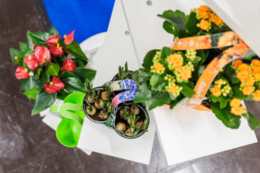 The joy that IPM ESSEN could finally take place again could be felt in every hall and at every stand.