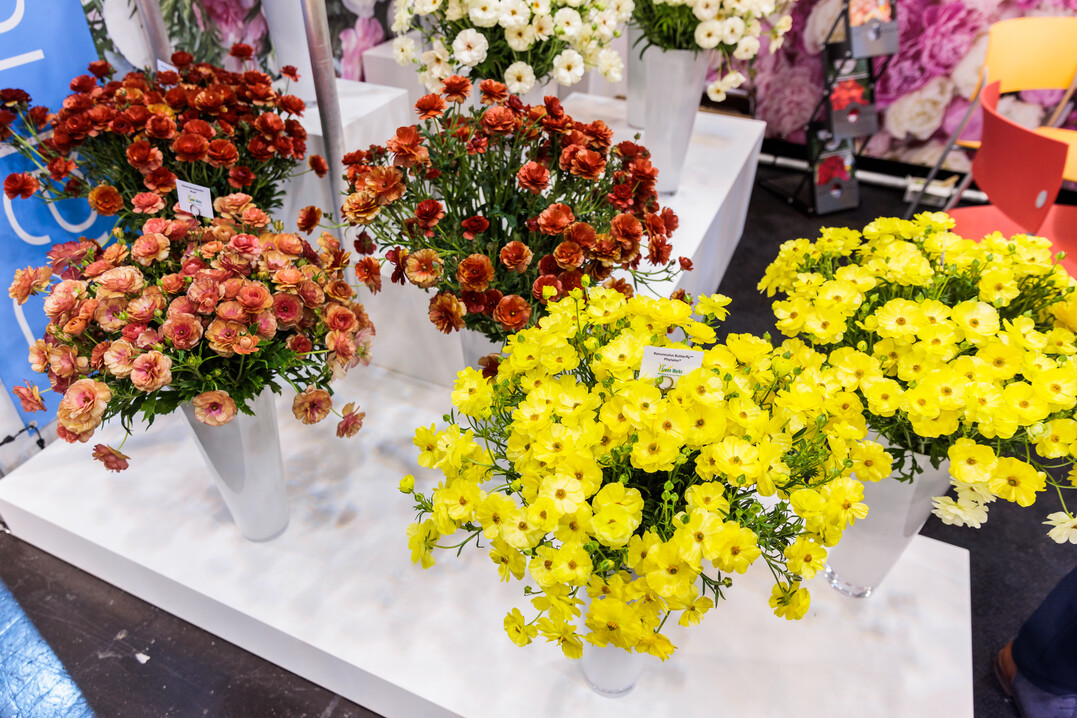 The joy that IPM ESSEN could finally take place again could be felt in every hall and at every stand.