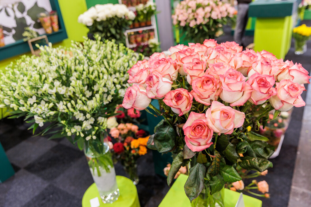 The joy that IPM ESSEN could finally take place again could be felt in every hall and at every stand.