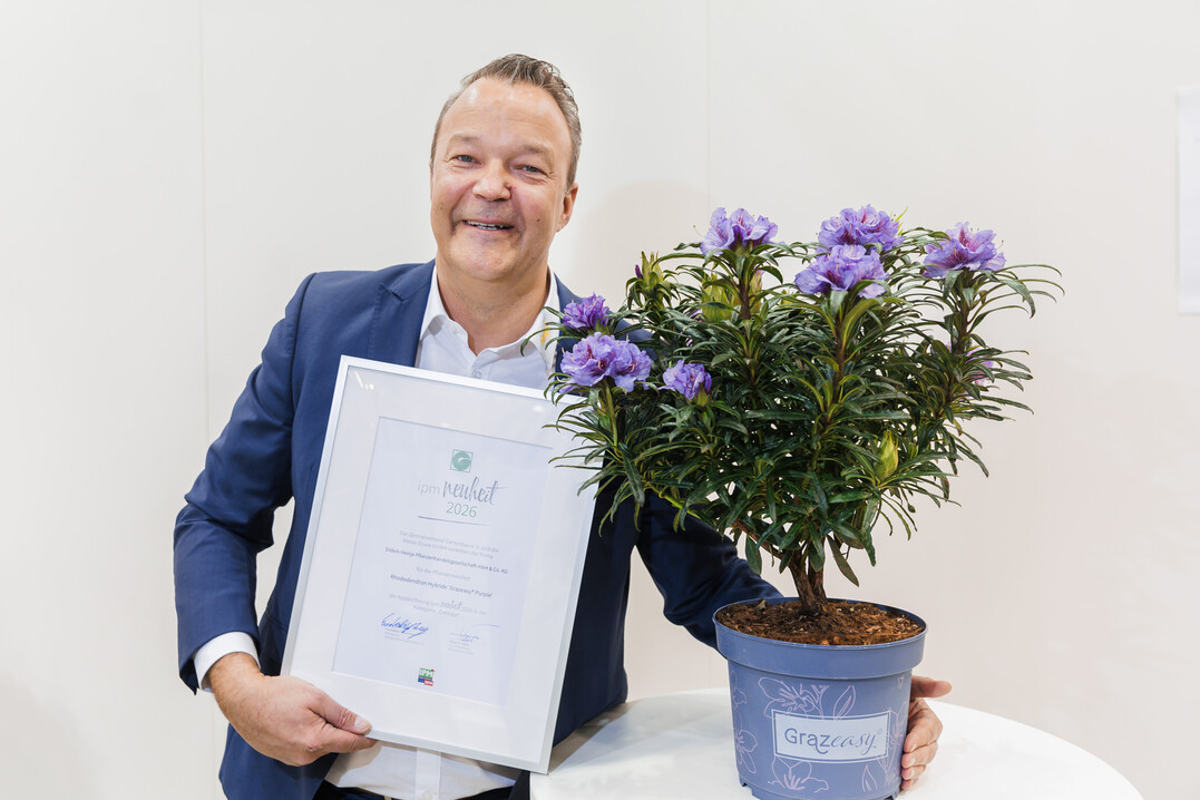 Sebastian Heinje (Diderk Heinje Pflanzenhandels GmbH) with the Rhododendron �Grazeasy Purple�.