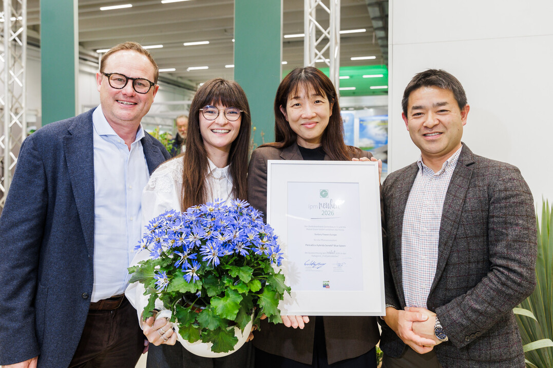 Ed Mol, Yumi Murata, Hiroshi ABE, and Francesca Lanzillotta (Suntory Flowers Europe) show the Senetti Blue Spoon.