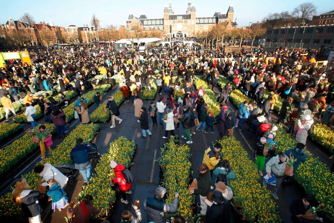 National Tulip Day 2023 in Amsterdam
