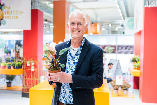 Pink Bikini, what a name for a green plant. In the category "Green Houseplant", the Philodendron erubescens "Pink Bikini"  from Ornamantex B.V. in the Netherlands was awarded "IPM Novelty 2023". Flamingorosa intercostal fields and thick red stems are a feast for the eyes and in line with the trend for variegated plants. Young plant hunters will be thrilled if they can get hold of a plant from this variety. An absolute highlight for that jungle feeling. Uncomplicated care rounds off the charm of this novelty.