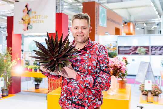 In the category "Potted Plants", the expert committee chose the Mangave Mad about Mangave  "Blazing Saddles" by Gootjes-AllPlant B.V. from the Netherlands as "IPM Novelty 2023". This plant meets all current requirements for a climate-sensitive plant. It is heat-tolerant, tolerates intense sunlight and needs hardly any water. It perfectly complements modern architecture and purist gardens. It shines with intense green foliage that appears to have red speckles. A highlight for terrace and garden.