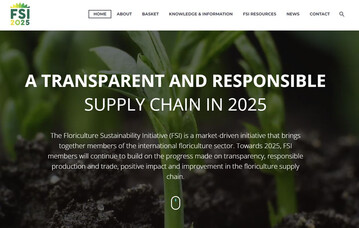 You can find more information about FSI on the website.