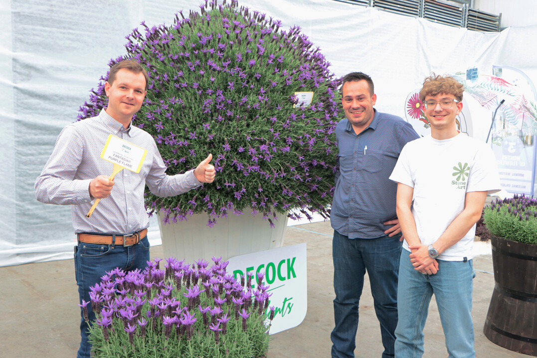 Lavender enthusiasts (from left): Gal Decock, Gwen Guillou and RomainBacquart from Decock Plants.