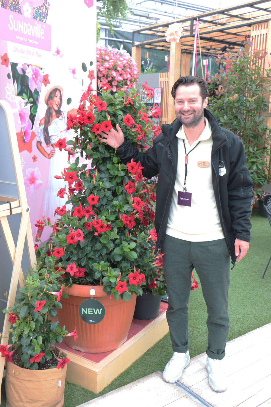 Erwin Giezen shows the large Mandevilla assortment at MNP/Suntory.